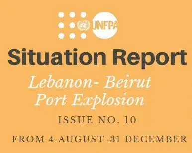 Beirut Port Explosion , Situation Report N.10