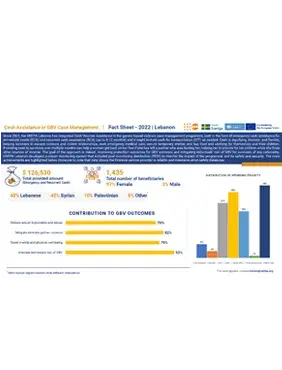 Cash Voucher Assistance Factsheet 2022