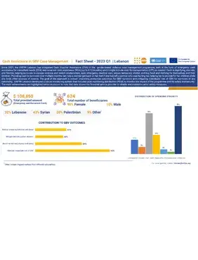 Cash Voucher Assistant Fact sheet - Q1 2023