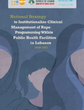 the National Strategy to Institutionalize Clinical Management of Rape Programming Within Public Health Facilities in Lebanon