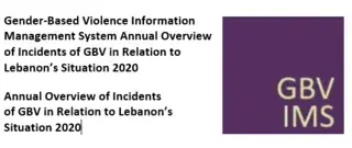 Gender-Based Violence Information Management System Annual Review 2020