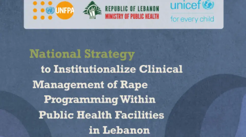 the National Strategy to Institutionalize Clinical Management of Rape Programming Within Public Health Facilities in Lebanon